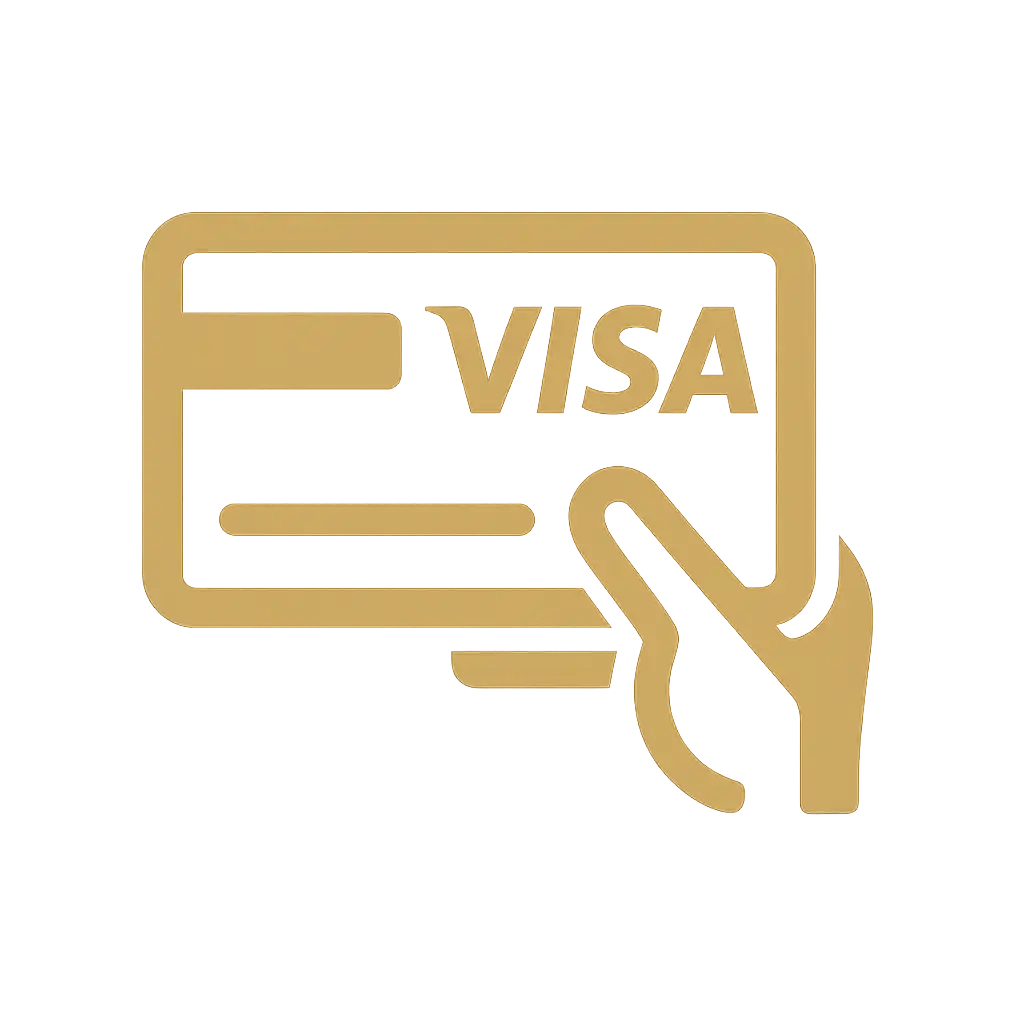 Visa card icon